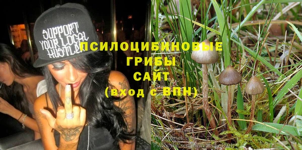 ECSTASY Козловка