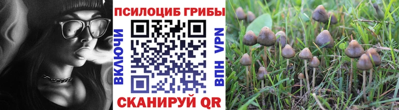 Купить закладки Иваново Галлюциногенные грибы мицелий